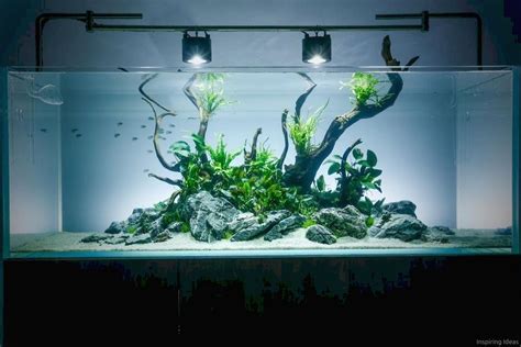 Pin by roomaniac.com on DIY and Crafts | Aquarium, Aquarium accessories, Fish aquarium decorations