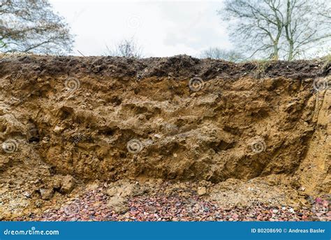 Profile of Spoil Displaying Ground Stock Photo - Image of brown, soil: 80208690