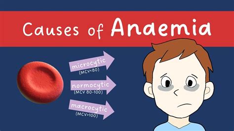 Anaemia causes (microcytic, normocytic, macrocytic) | MADE EASY! - YouTube