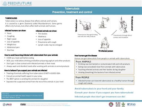 Tuberculosis Prevention, treatment and control