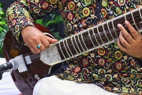 Sitar Instrument: Definition, History, Types & Famous Players - Wiki