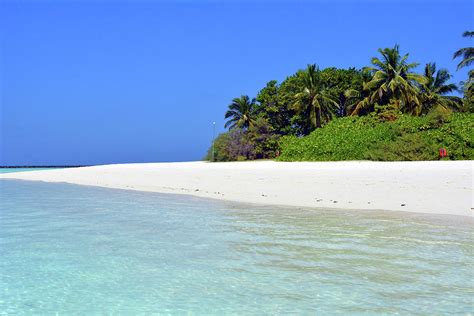 Exotic island in the Maldives Photograph by Oana Unciuleanu | Fine Art ...