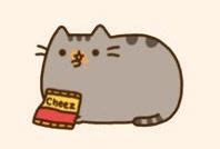 Pin by Викуля on Няшки | Pusheen cute, Kawaii cat, Anime neko