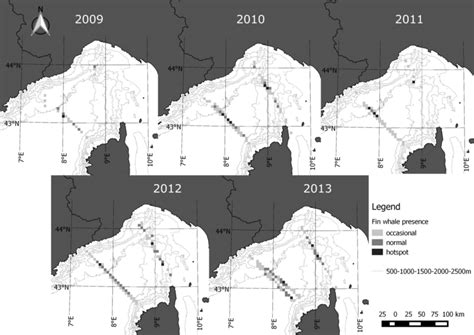 Map of the yearly fin whale hotspots for the entire study period... | Download Scientific Diagram