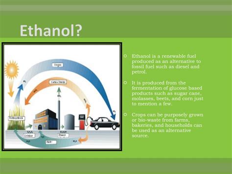 PPT - Ethanol Production PowerPoint Presentation, free download - ID ...