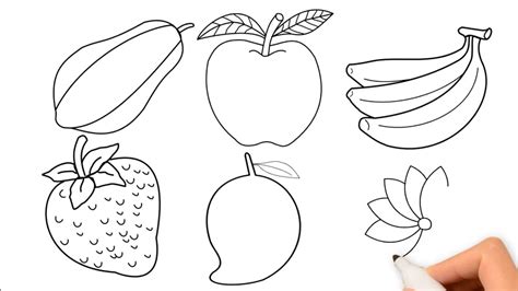 Fruit Drawings