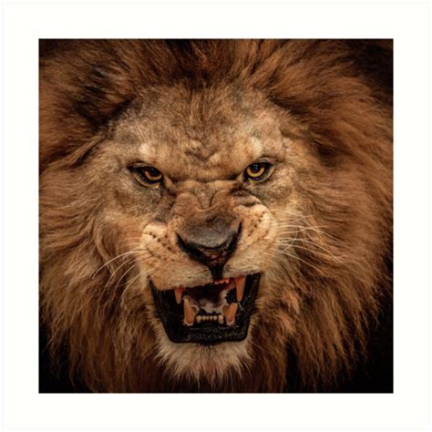 "Snarling Lion" Art Print by FUGear | Redbubble