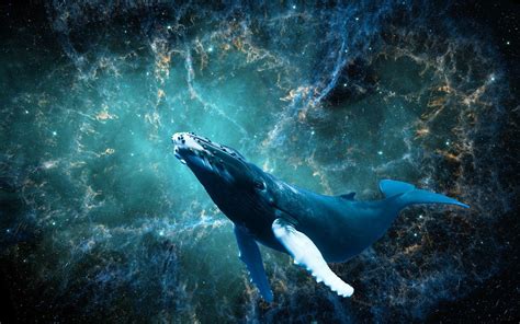 photoshop whale flying - Google Search | Space whale, Whale, Whale art