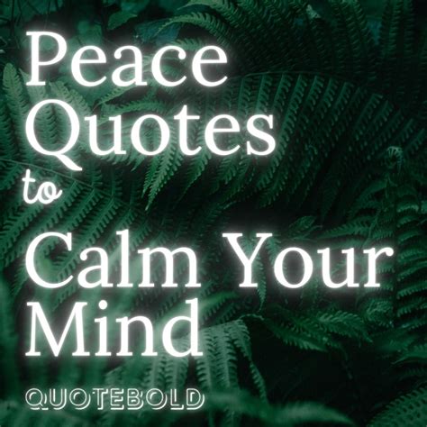 30+ Peace Quotes to Calm Your Mind [Images] - QuoteBold