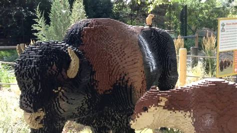 LEGO Animal Sculptures at Denver Zoo, CO - YouTube