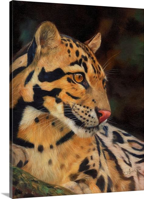 Clouded Leopard Wall Art, Canvas Prints, Framed Prints, Wall Peels | Great Big Canvas