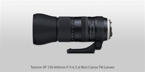 7 Best Lenses for Canon Rebel T6i in 2024