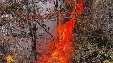 North Carolina declares a state of emergency as wildfires have raged ...