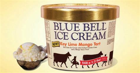 Blue Bell Creameries Release New Flavor