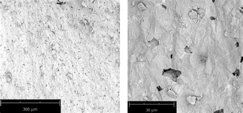 Microstructure of a sample of composite ceramics fired at a temperature ...