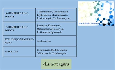 Macrolide Antibiotics Definition Side Effects Uses - Class Notes