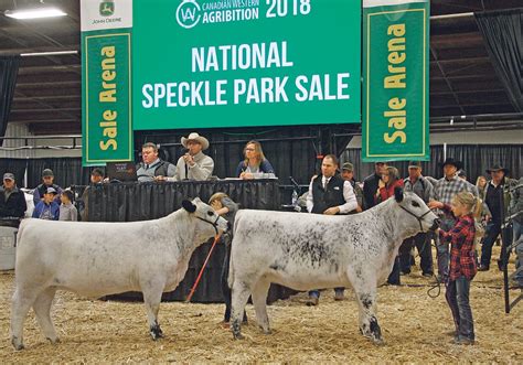 Speckle Park gains foothold in Australia | The Western Producer