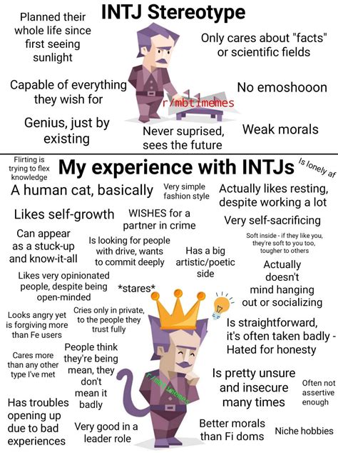 INTJ stereotype vs My experience with INTJs(can differ based on the person ofc) : mbtimemes