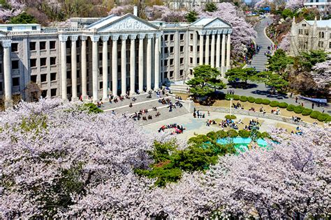 The 10 most beautiful universities in East Asia | Student