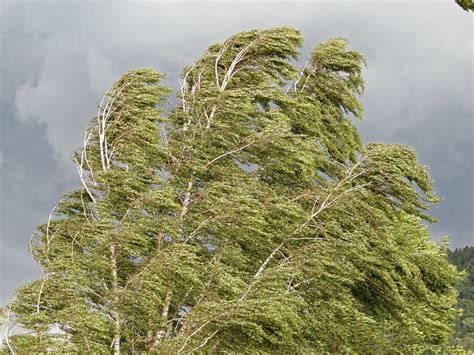 Fast-Moving Storm Blows Through Lake Elsinore, Winds Follow | Lake Elsinore, CA Patch