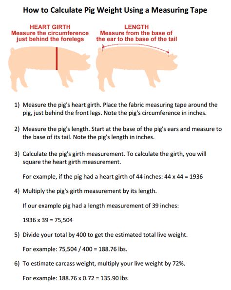 Miniature Pig Weight Chart