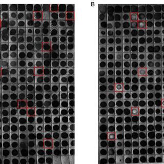 Fig. Dot-blot hybridization analysis of subtracted fragments membranes ...