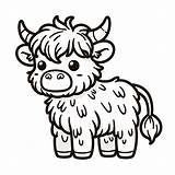Childrens Highland Cattle Coloring Page  4 Free Printable Pages sketch template