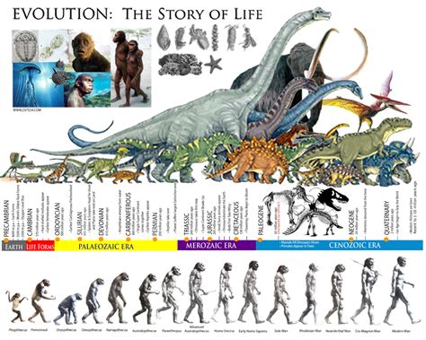 Z59 NEWS & STORIES: EVOLUTION: The Story of life │ The Prehistoric ERAS │ Dinosaur Timeline