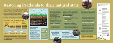 mizz winkens illustrator - Peatland Biodiversity Information signage