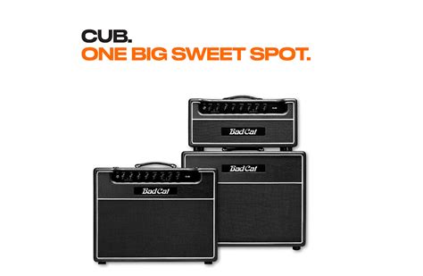 Bad Cat Amplifiers | westcoast-guitars