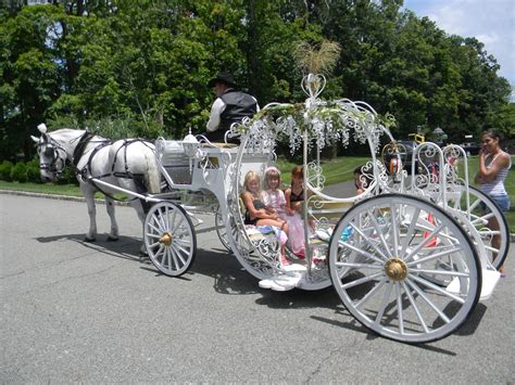 Dream Horse Carriage Company: Cinderella Carriage Birthday Party for KidsDream Horse Carriage ...