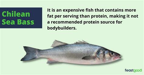 29 Best Fish For Bodybuilding (Ranked By Cheapest Option) - FeastGood.com