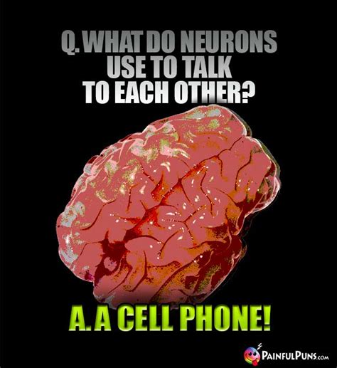 Brain Jokes, Cerebral Humor, Neurology Puns | PainfulPuns.com