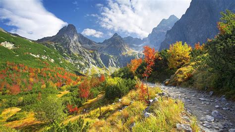 nature, Landscape, Trees, Forest, Slovakia, Tatra Mountains, Stones, Path, Fall, Clouds, Grass ...