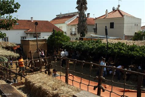 Aljubarrota Medieval | Aljubarrota, a small portuguese city,… | Flickr