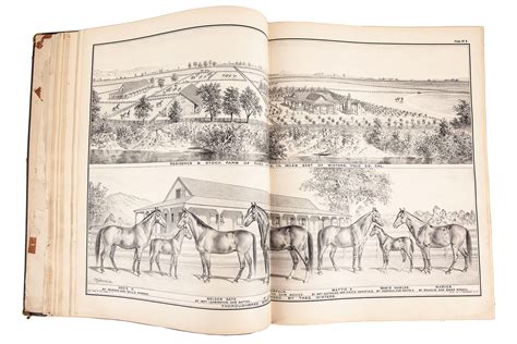 The Illustrated Atlas and History of Yolo County California 1879 | Witherell's Auction House