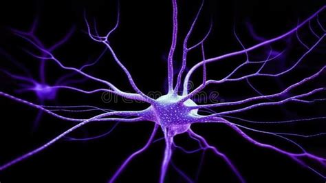 Neurons in the Brain Firing Stock Illustration - Illustration of electricity, science: 275061091