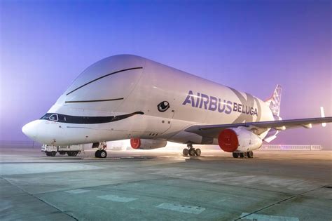 Take a look at the new Airbus Beluga XL as it flies to Britain - Somerset Live