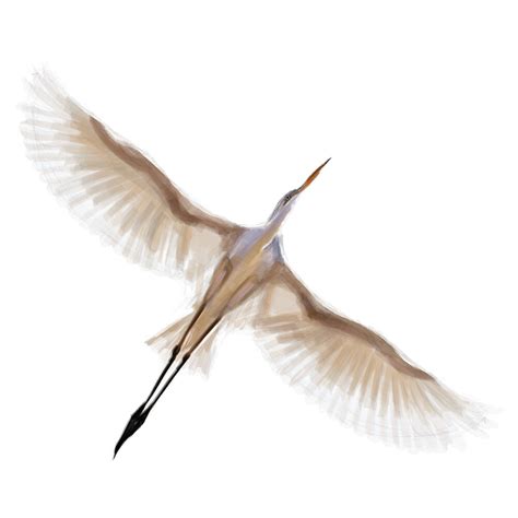 "Flying crane" by Oliva-art | Redbubble