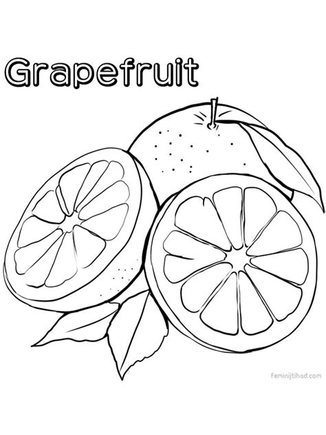 Printable Grapefruit Coloring Pages