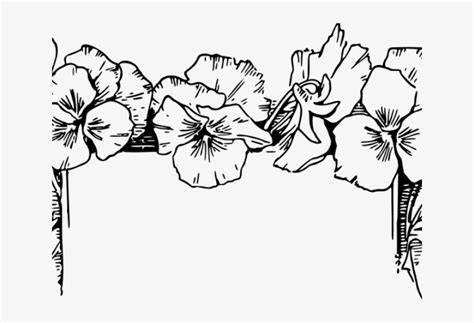 Flowers Borders Clipart Outline - Clipart Floral Border Black And White - Free Transparent PNG ...