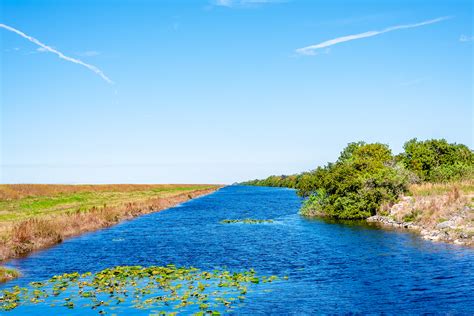 Florida Everglades :: Behance