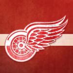 detroit red wings Meme Generator - Imgflip