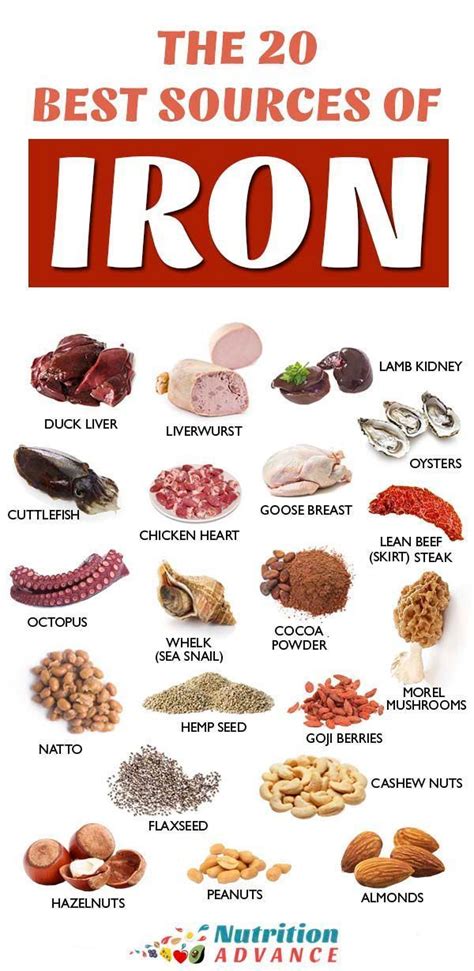 30 Foods High In Iron | Foods with iron, Iron rich foods, Foods high in iron