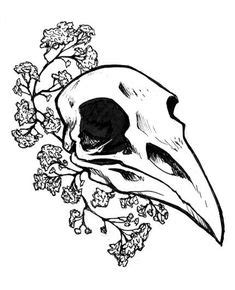 10 Best Raven Skull ideas | raven skull, skull, animal skulls