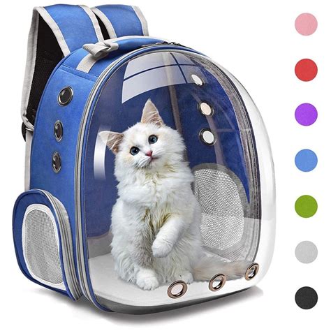 Top 10 Best Cat Backpack Carriers in 2023 Reviews | Buyer's Guide