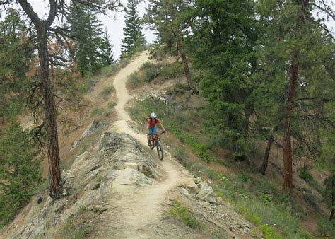 Bloated Skiing: June 11, Leavenworth Ski Hill Trails