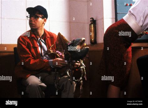 LITTLE SHOP OF HORRORS, Rick Moranis, 1986 Stock Photo - Alamy