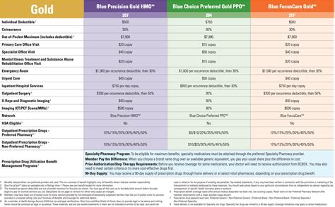 2019 Blue Cross Blue Shield Of Illinois Health Insurance Guide – Independent Health Agents