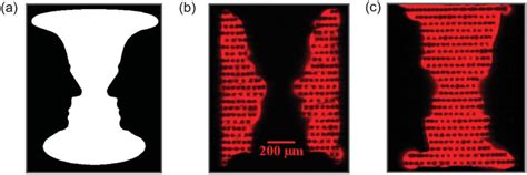 (a) Rubin's Vase optical illusion, depicting either (b) two faces or ...